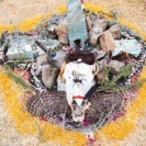 Altar 4, Born To Drum 2018: