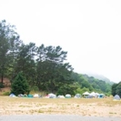 Bort Meadow, Born To Drum 2018
