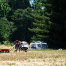 Meadow with Wagons, Born To Drum 2018