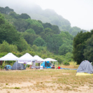 Tents in Meadow, Born To Drum 2018